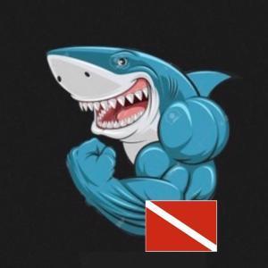 Avatar Jean-François LINAS