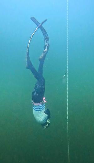 Avatar Thomas Fleitour